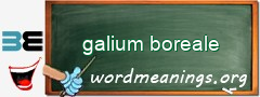 WordMeaning blackboard for galium boreale